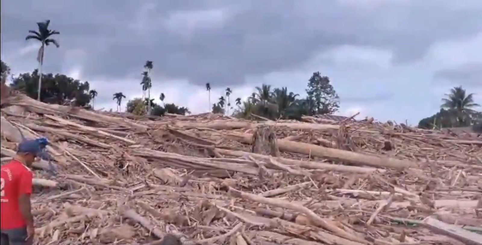 Kemenhut Bolehkan Warga Manfaatkan Kayu Hanyut Dampak Banjir di Sumatra